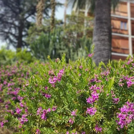 Oli With Panoramic Sea View *